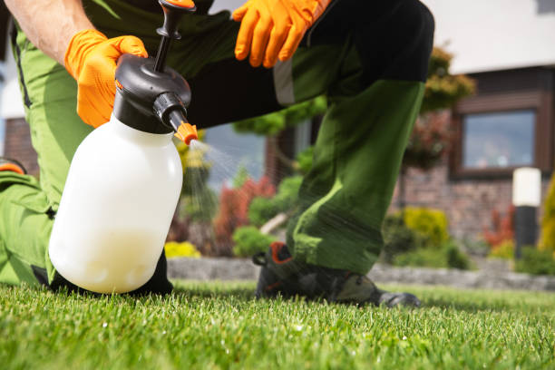 Best Pest Removal Services  in Dover Plains, NY